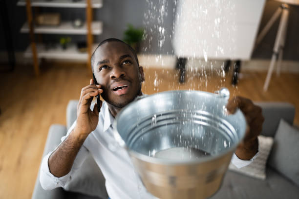  Fayette, MS Water damage restoration Pros