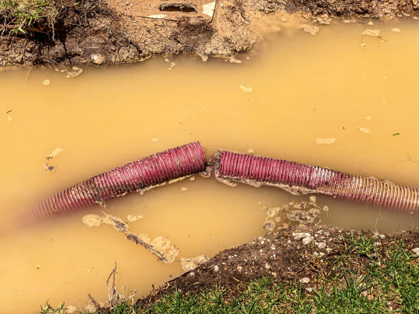 Best Water damage restoration near me  in Fayette, MS