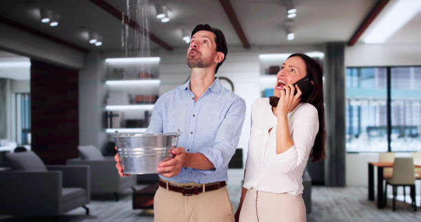 Best Water damage contractors near me  in Fayette, MS