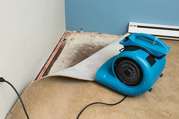 Best Water damage restoration specialists  in Fayette, MS